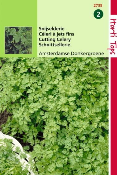 Schnittsellerie dunkelgrn Amsterdam (Apium) 5000 Samen